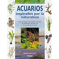 Acuarios Inspirados Por La Naturaleza Acuarios Inspirados Por La Naturaleza